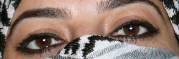 palestfine's profile banner image