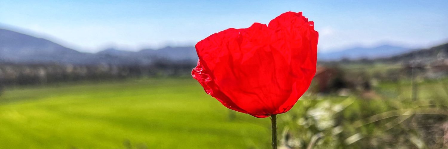 fdagentile's profile banner image