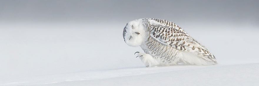 HamidLn's profile banner image