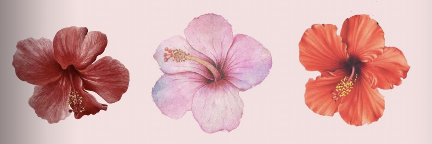 rmaljudean's profile banner image