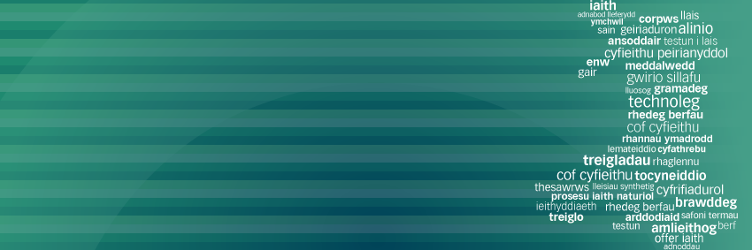 techiaith banner