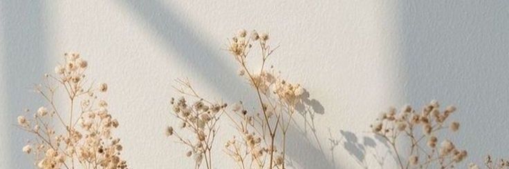 riksantika's profile banner image