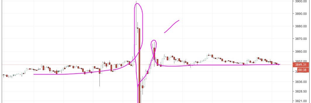 Helena Margarido banner