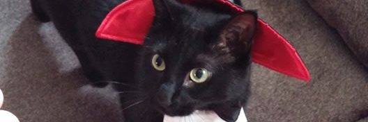 JStrapec's profile banner image