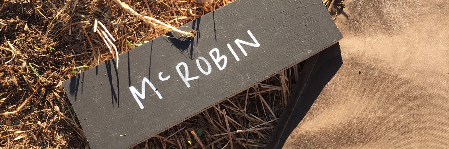 mcrobinmusic's profile banner image