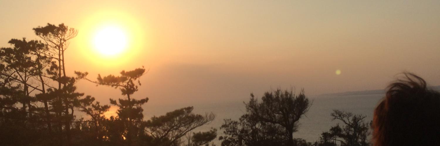 kodai0513's profile banner image