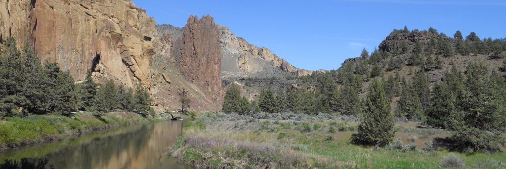 David w Norman banner