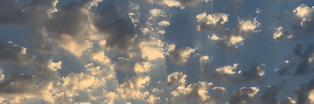 salqome's profile banner image