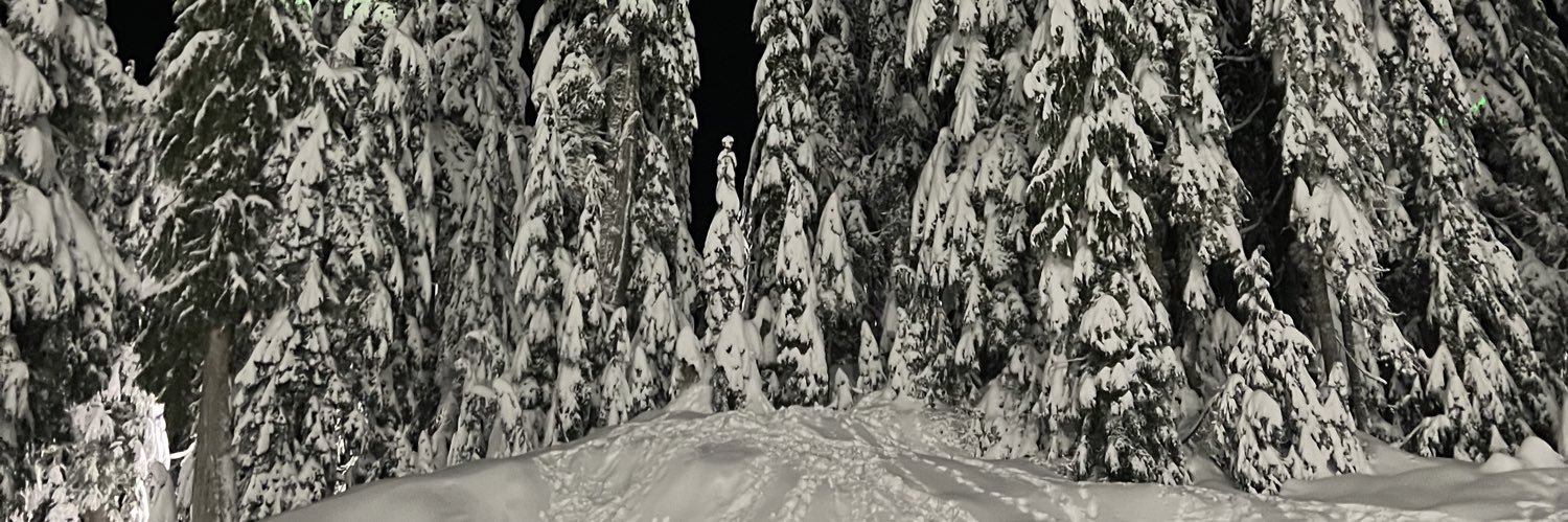 stephanybh's profile banner image