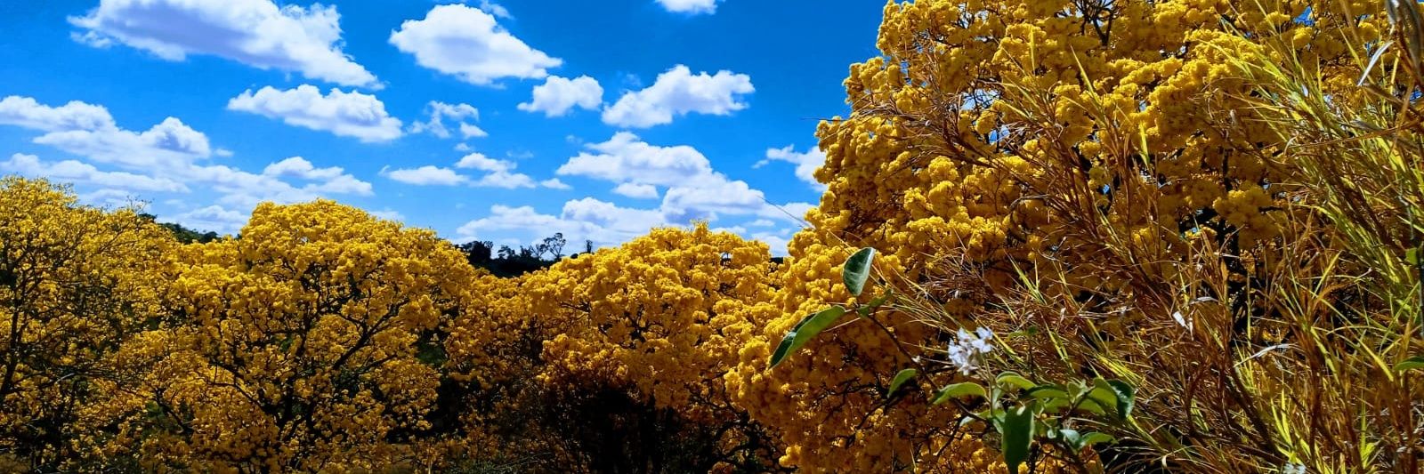 abertoaodebate's profile banner image