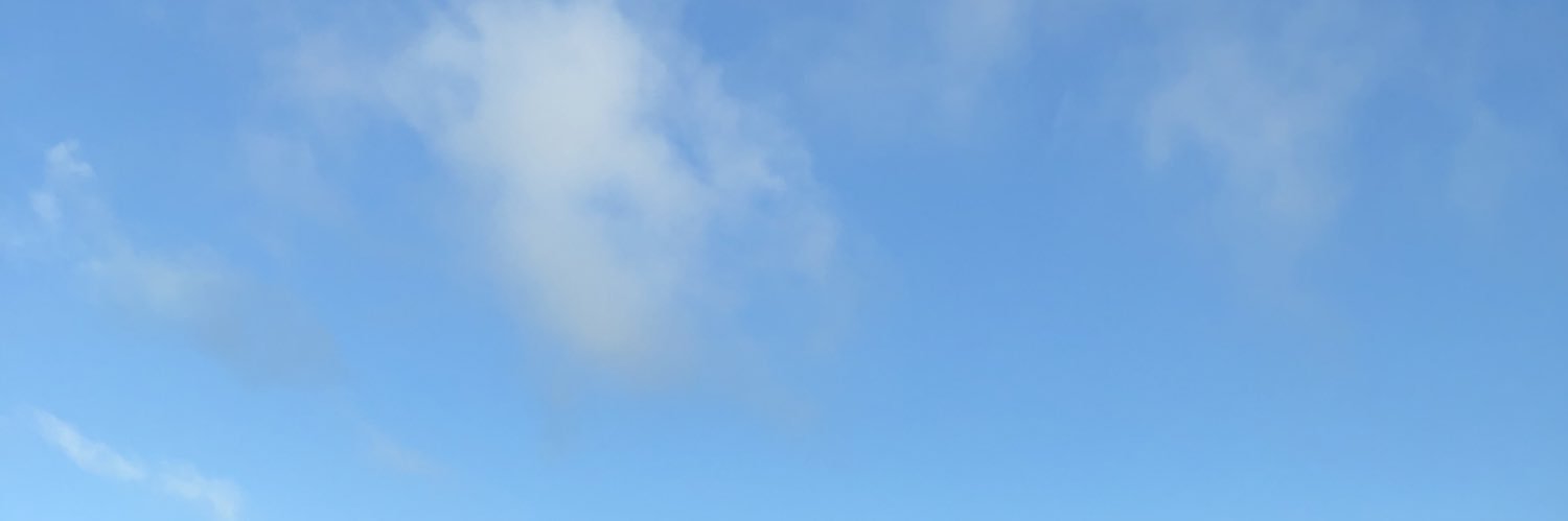 carosecondo's profile banner image
