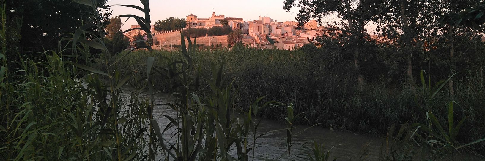 Torres_Pelayo's profile banner image