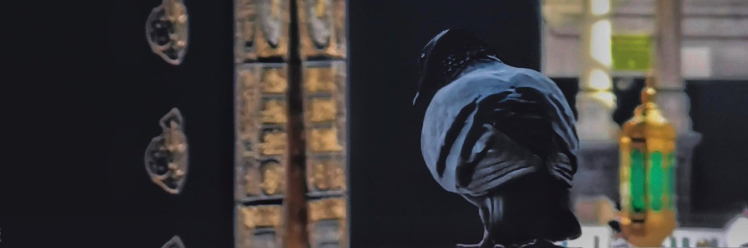um1maab's profile banner image