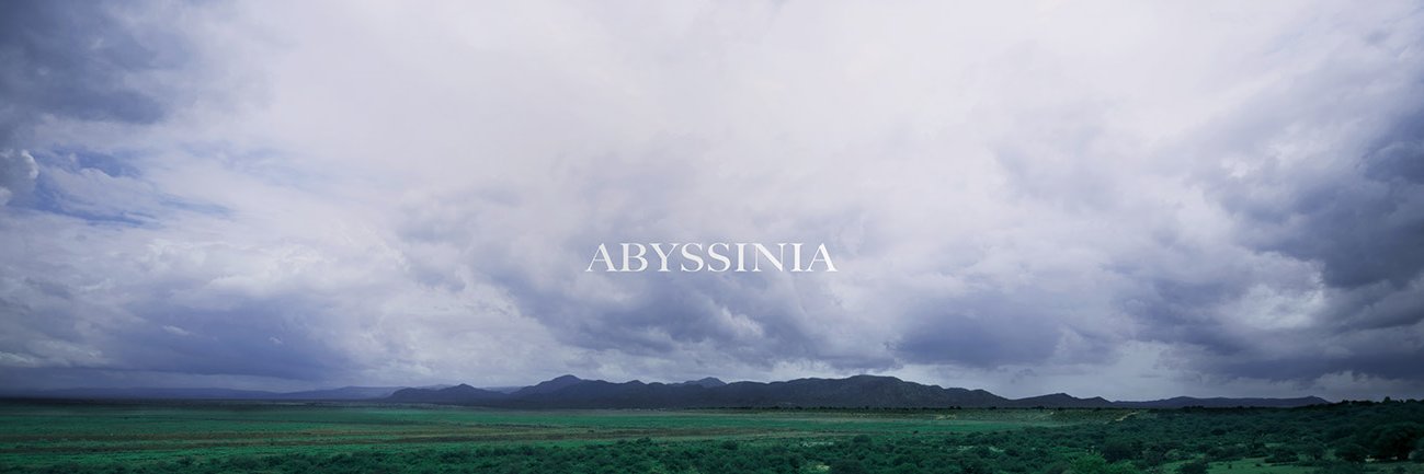 leykunlegesse's profile banner image