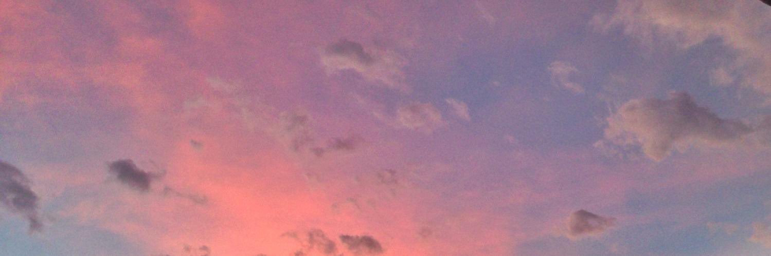 DaniAndPuffins's profile banner image