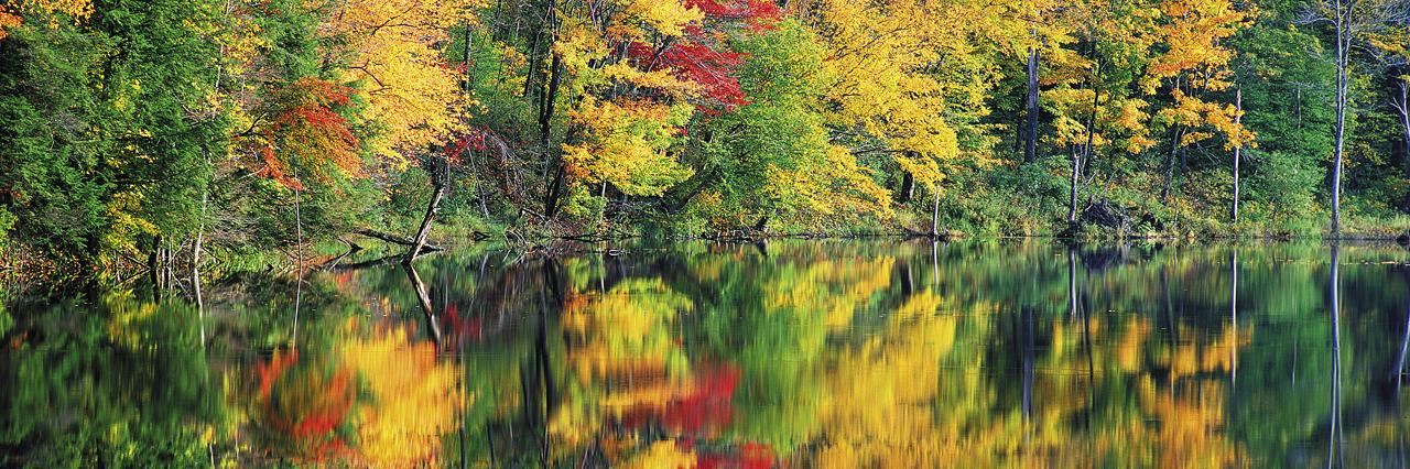 John Mazzara Broker Associate CRP banner