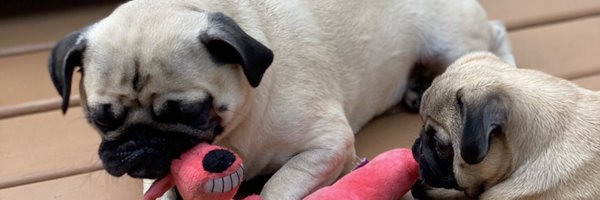 erducker Profile Banner