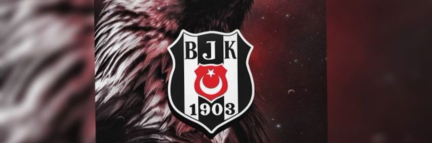 nvztelck's profile banner image