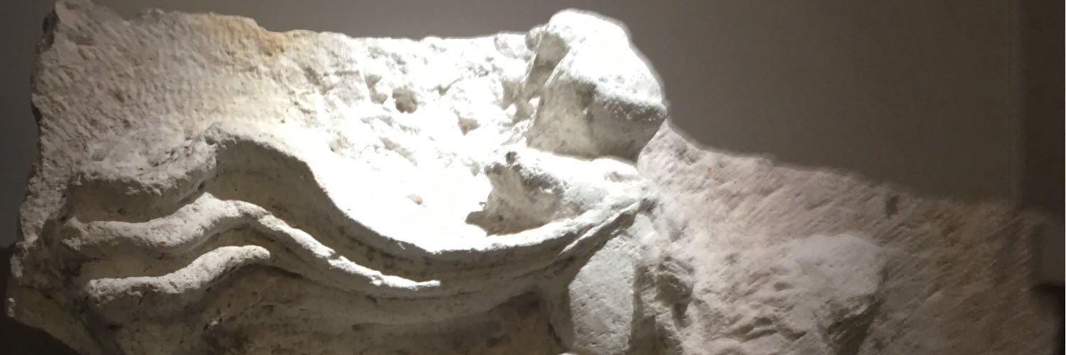 Giovanna Righi banner