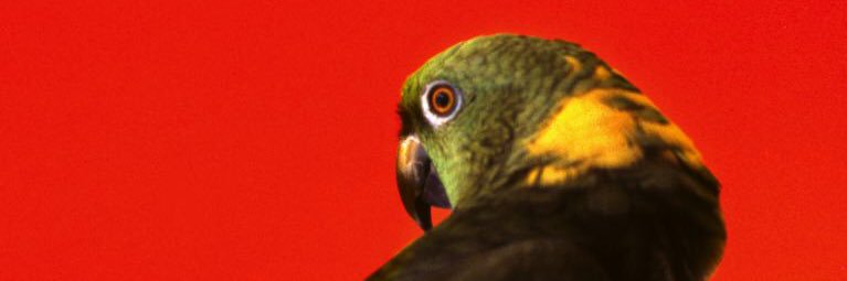 MATTFISHBECK's profile banner image