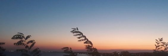 __azesra__'s profile banner image