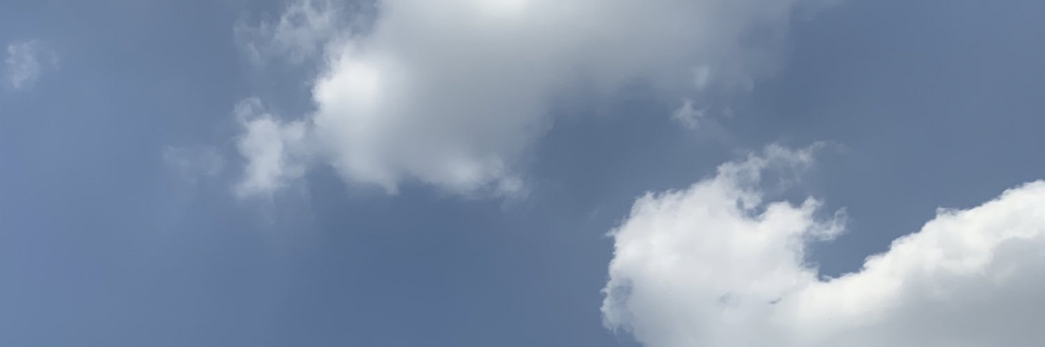 nakamanitip's profile banner image