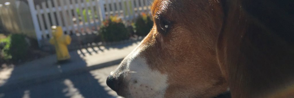 jason_sharp's profile banner image