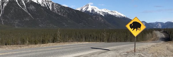 jvasseur1 Profile Banner