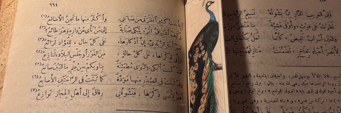 هاربة من الواقع banner