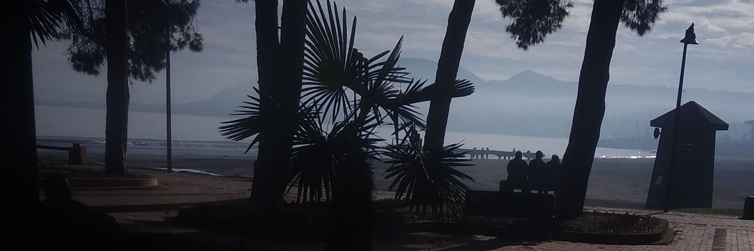 hüseyin çolak banner