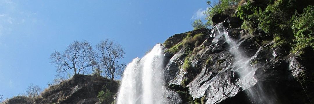michreolon's profile banner image
