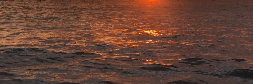 natashaky_'s profile banner image