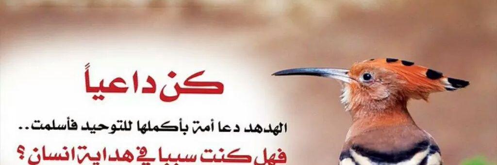 20122011Rashed's profile banner image