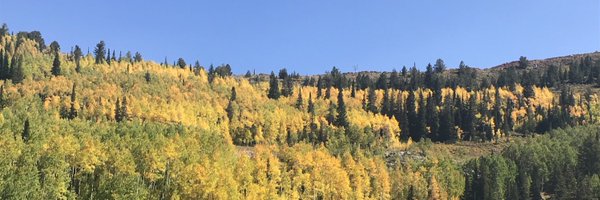 gsducker Profile Banner
