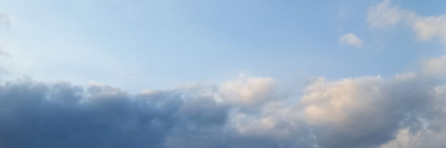 agnesulistya's profile banner image