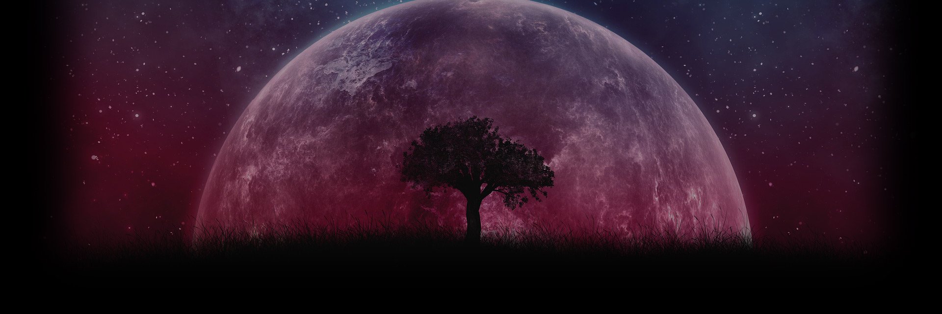 SocrstaR_'s profile banner image