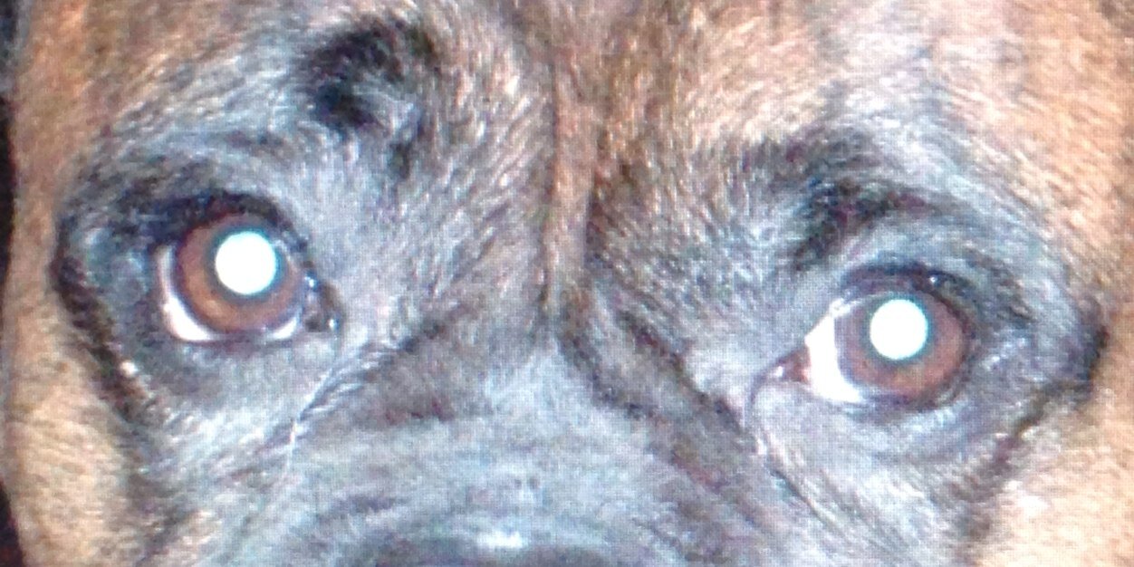 sleenes's profile banner image