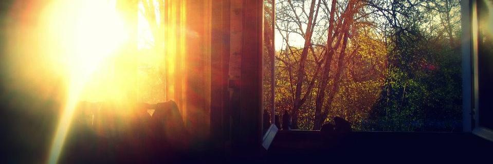 JuliiSharp's profile banner image