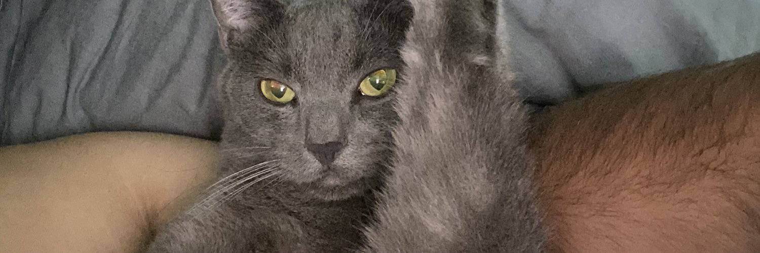 sarahigh's profile banner image