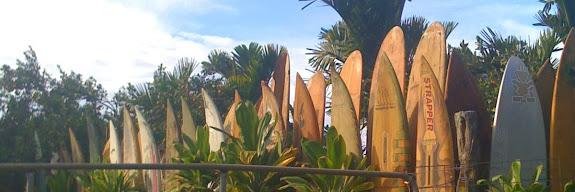 Brian Ross banner