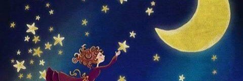 Paula banner