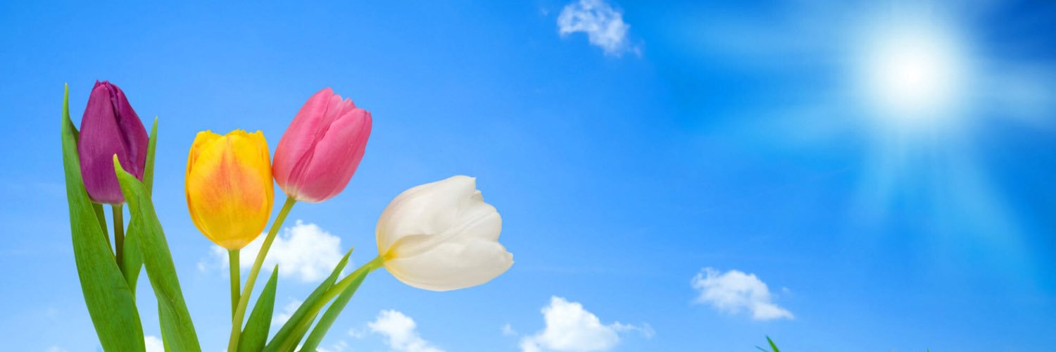 prmsgs's profile banner image