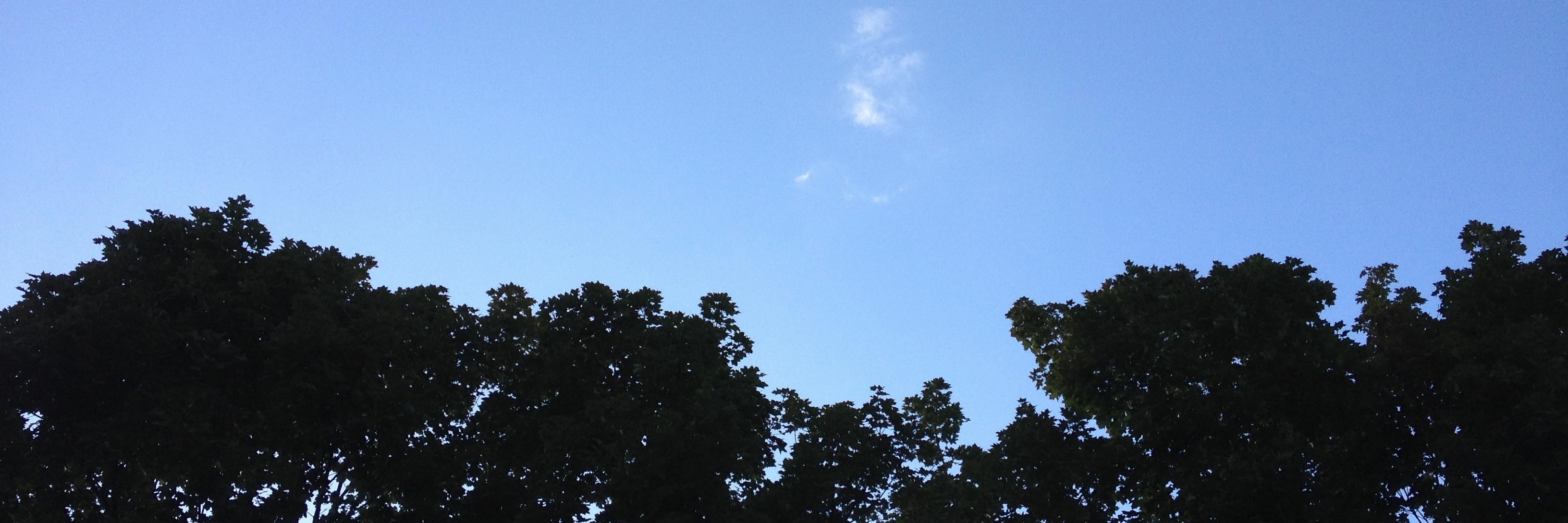 smithjd's profile banner image