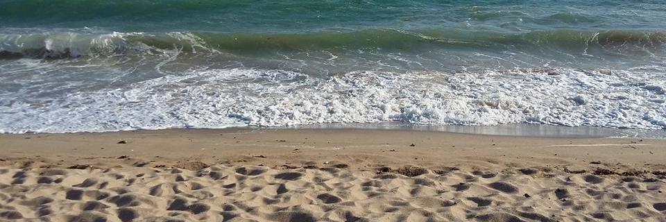 Rebecca Curley banner