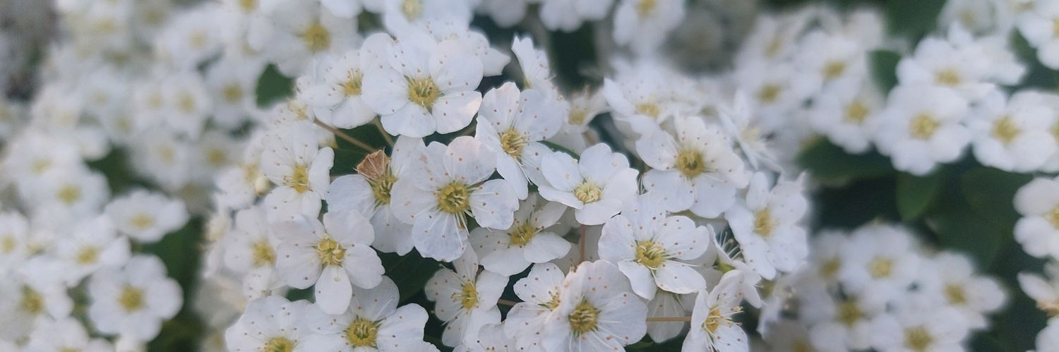 Jenn 🏊‍♀️🚴🏼‍♀️🏃🏼‍♀️ banner