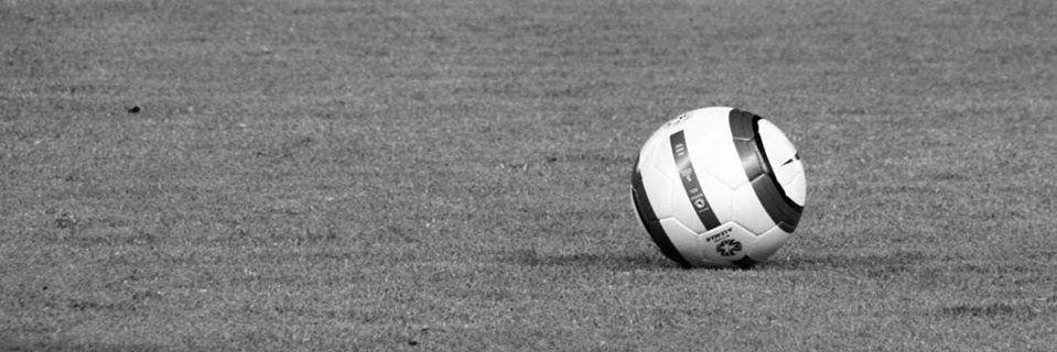 Romain Daveau banner