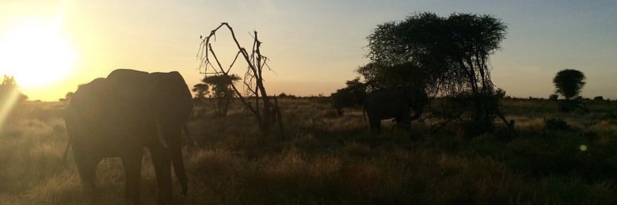 GWStudyAbroad's profile banner image