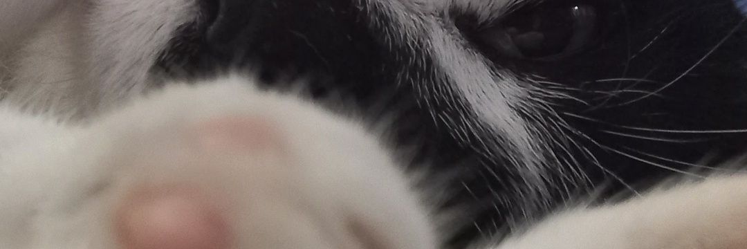 BreenBurgos7's profile banner image