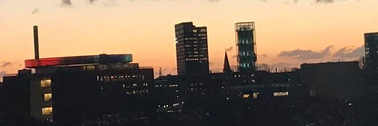 Susanne Tellerup banner