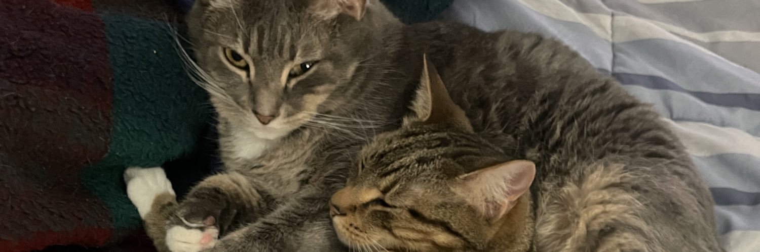 MichelleAdeline's profile banner image